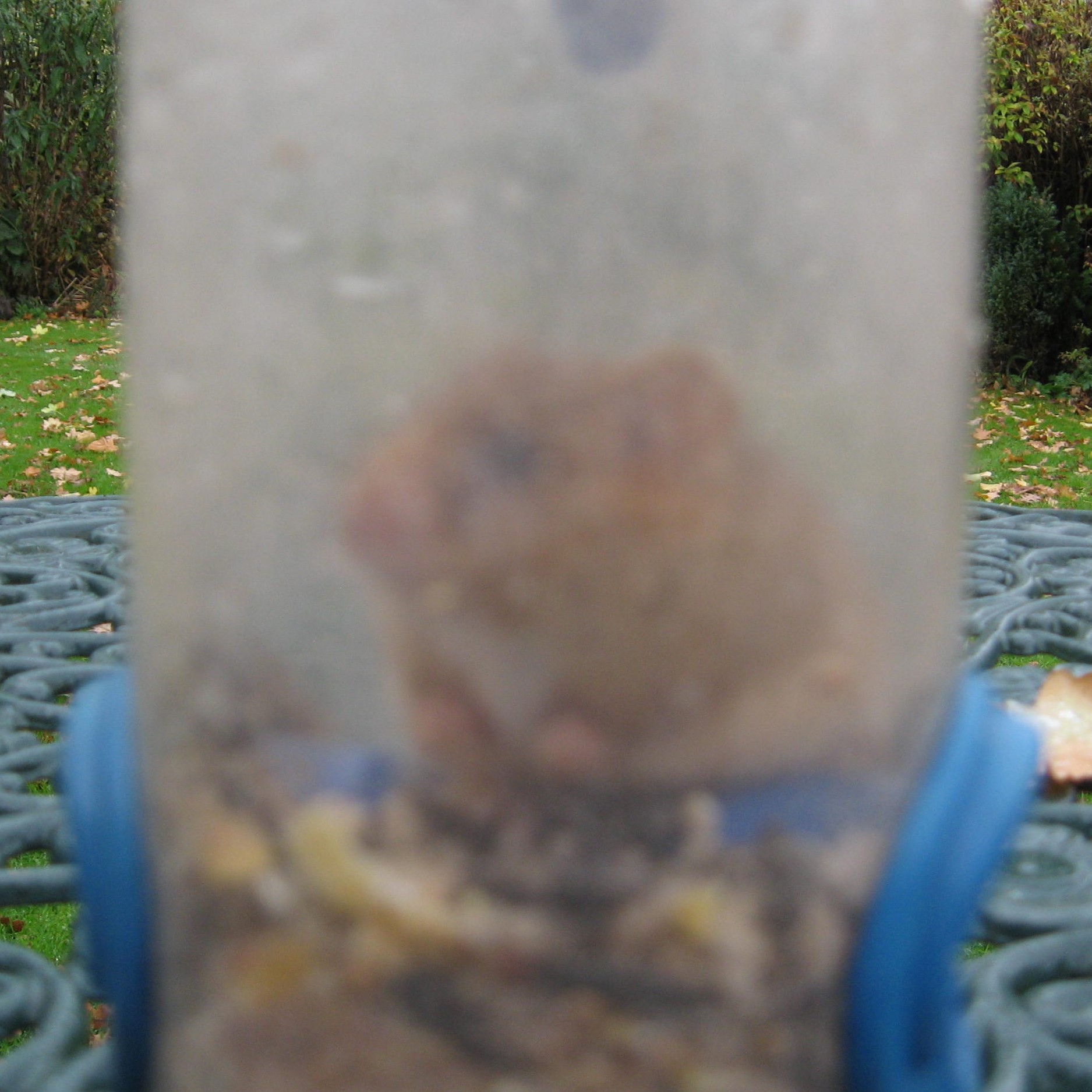Photo of dormouse in a bird feeder