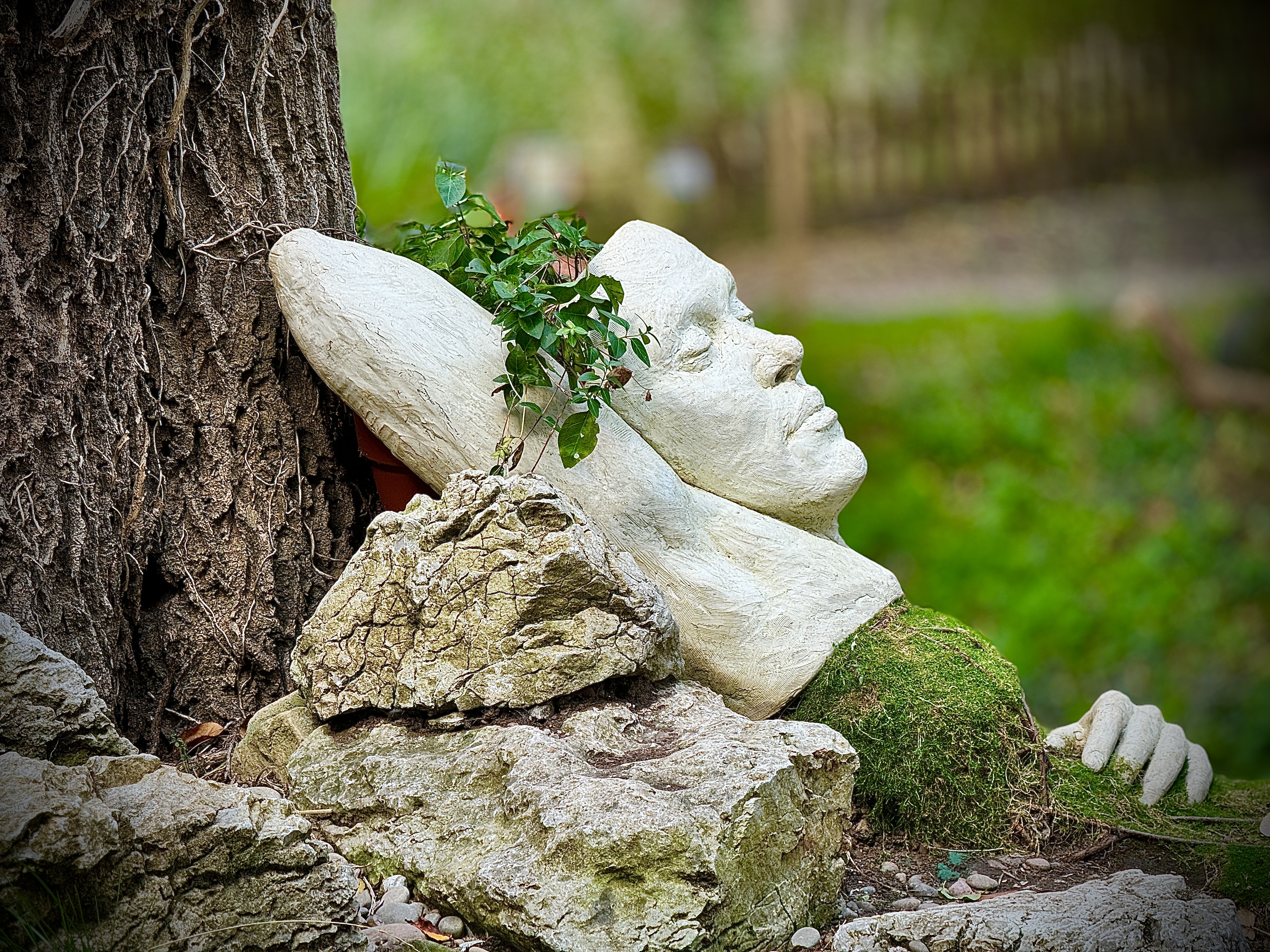 Photo of carved wood in a human form resting on a tree