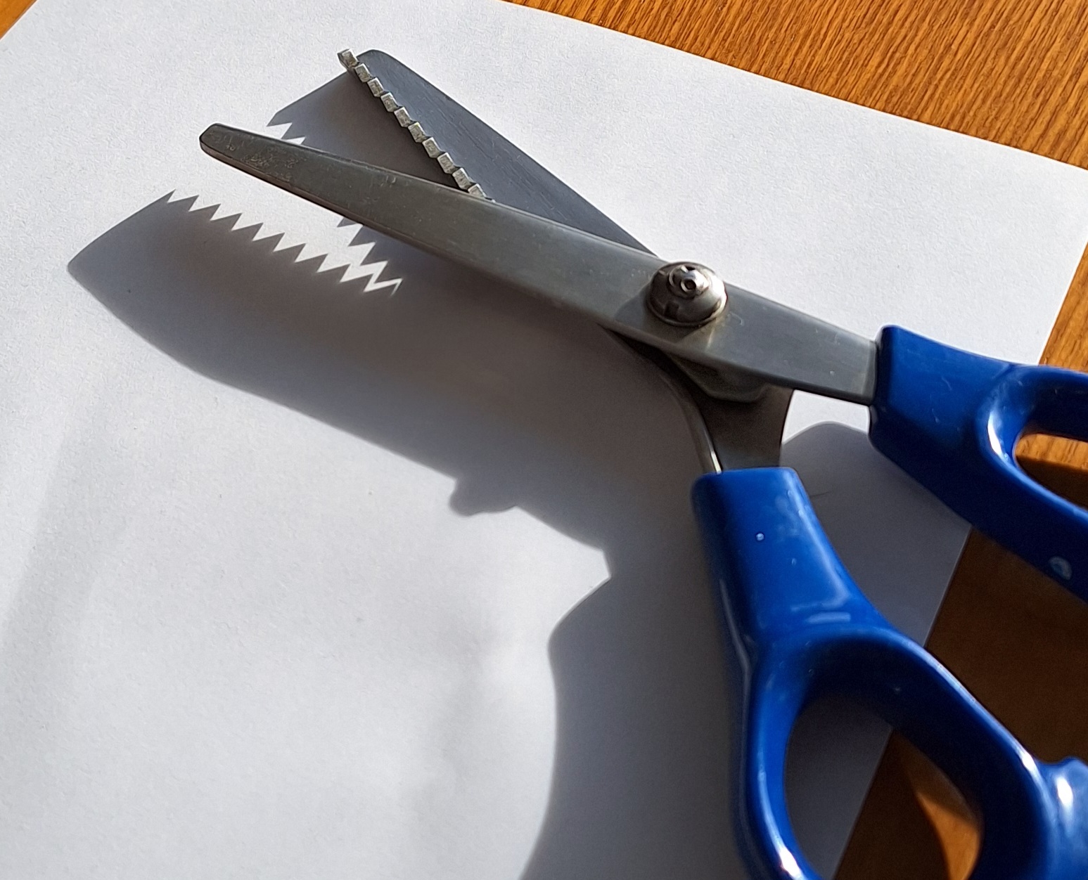 Photo of pinking shears casting a sinister shadow