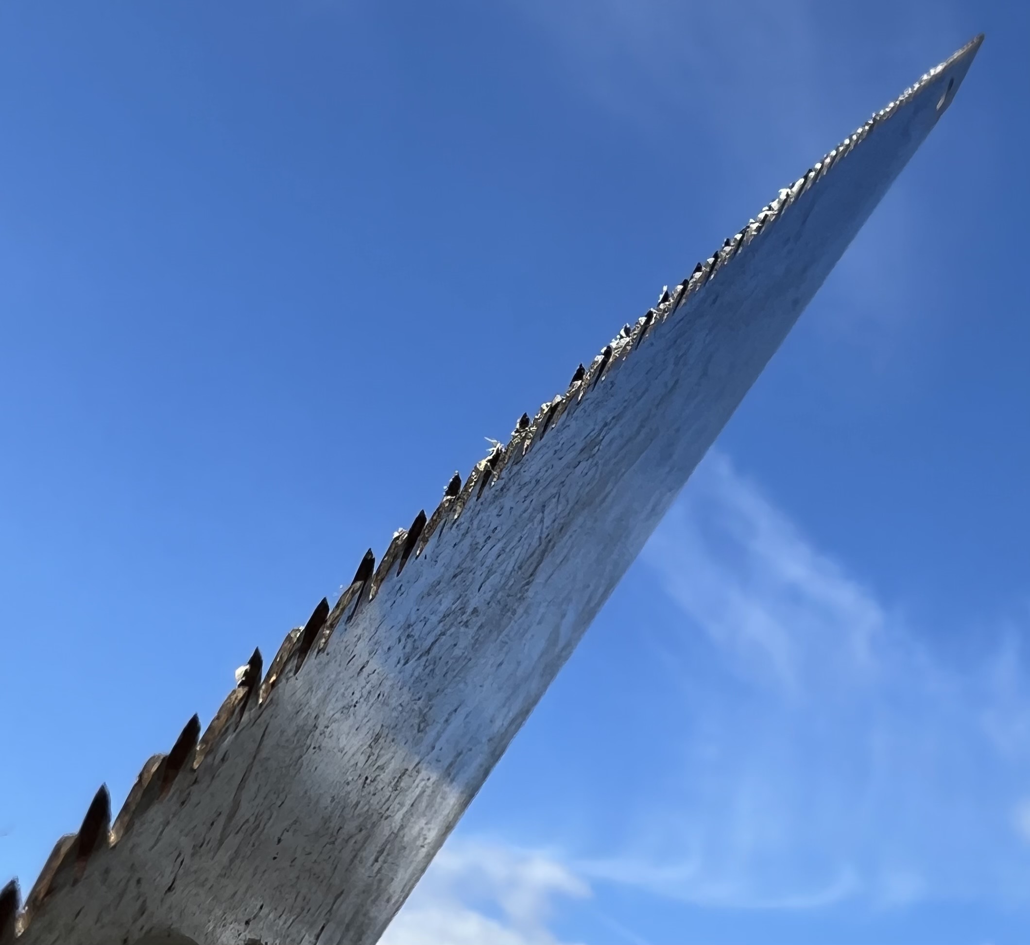 Photo of a saw blade against the sky