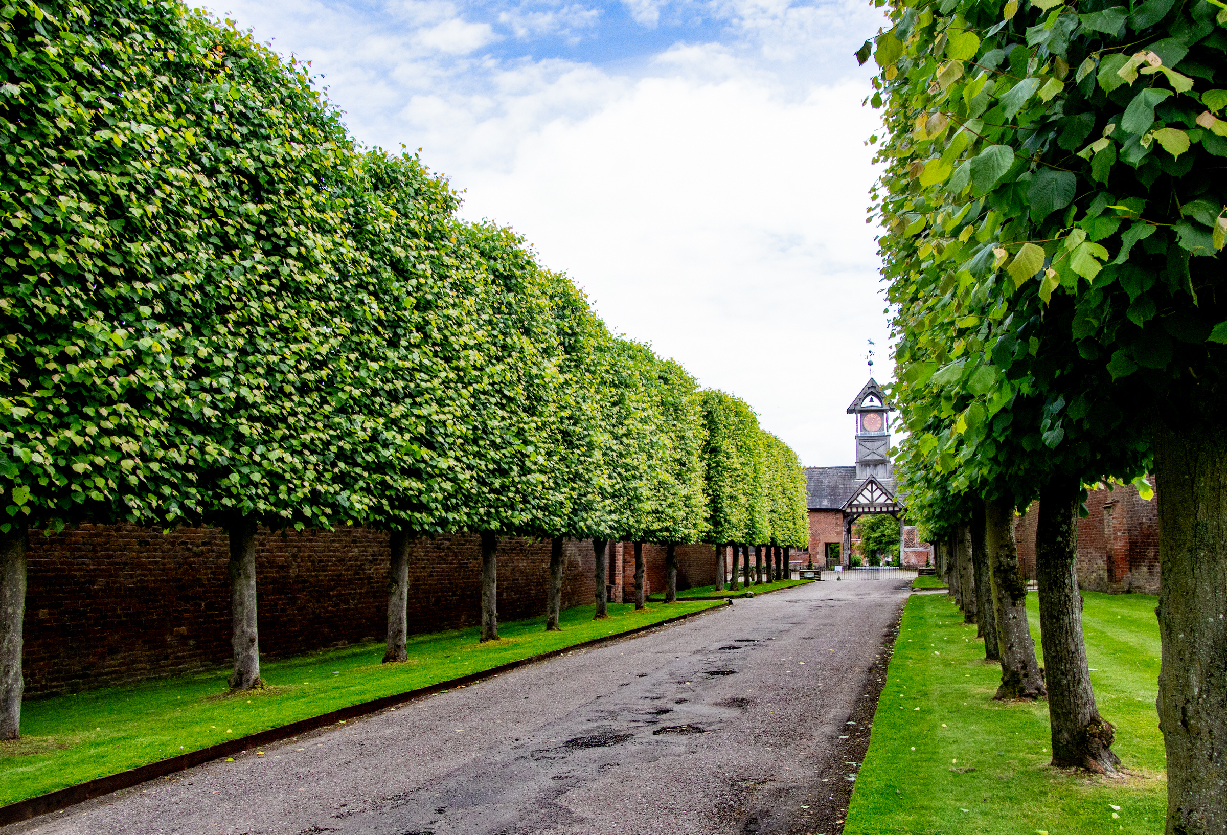 view down a straight line of trees next to a track with a clocktower at the end