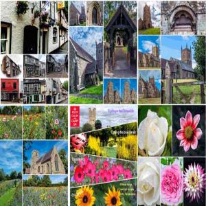 covidcollage 03 2